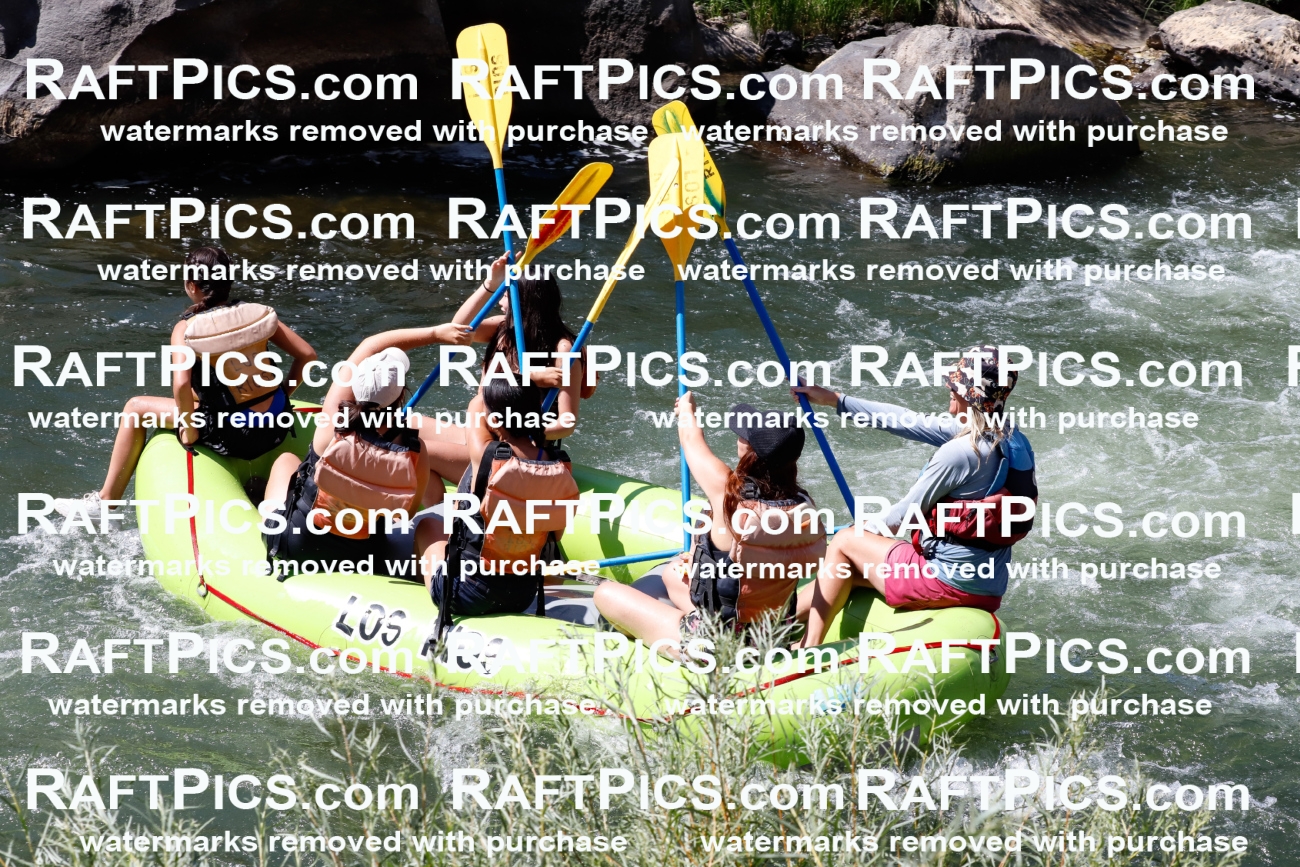 025378_RaftPics_August_04_LosRios_Racecourse_PM_Leslie_TC_