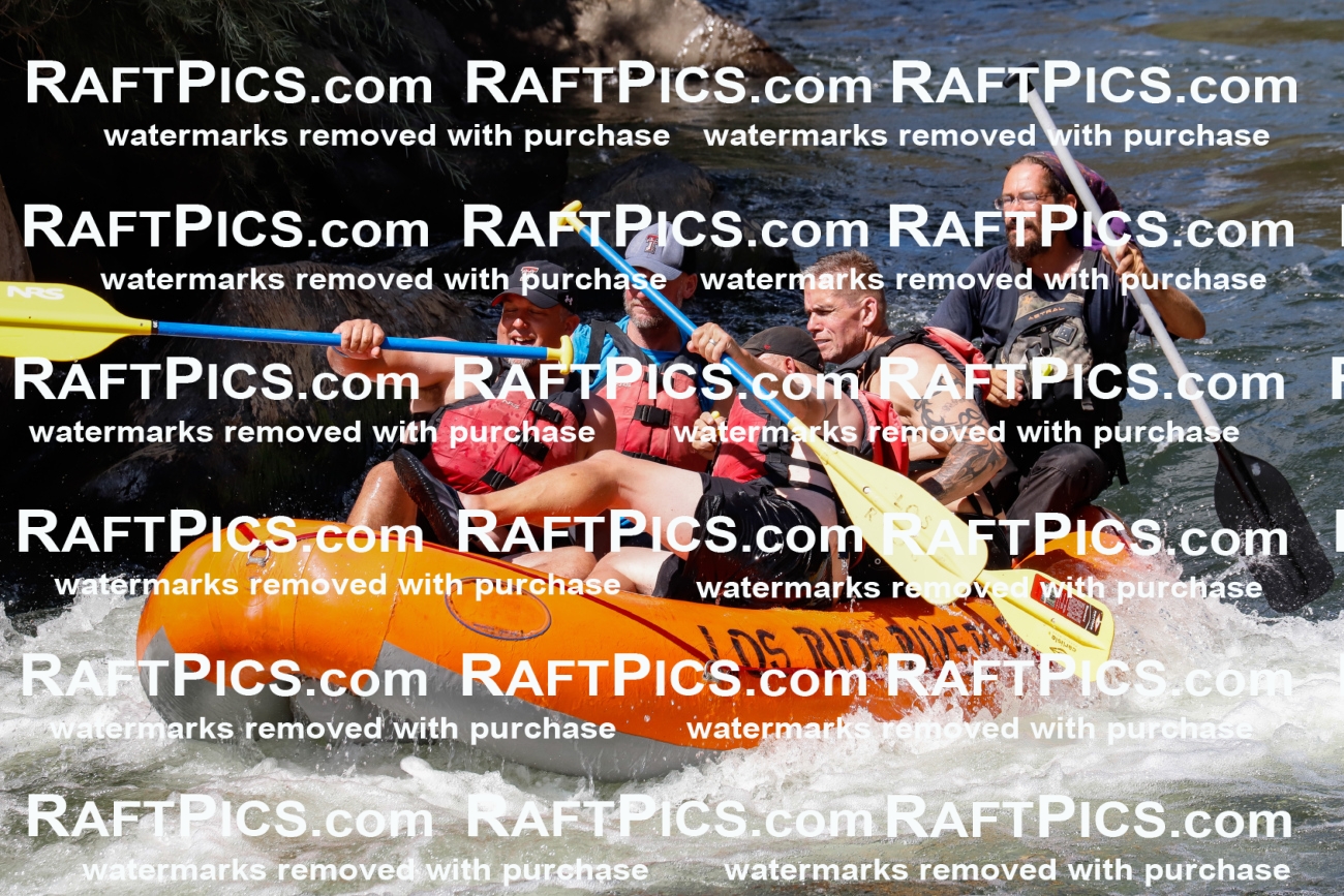 025465_RaftPics_August_04_LosRios_Racecourse_PM_Shay_TC_