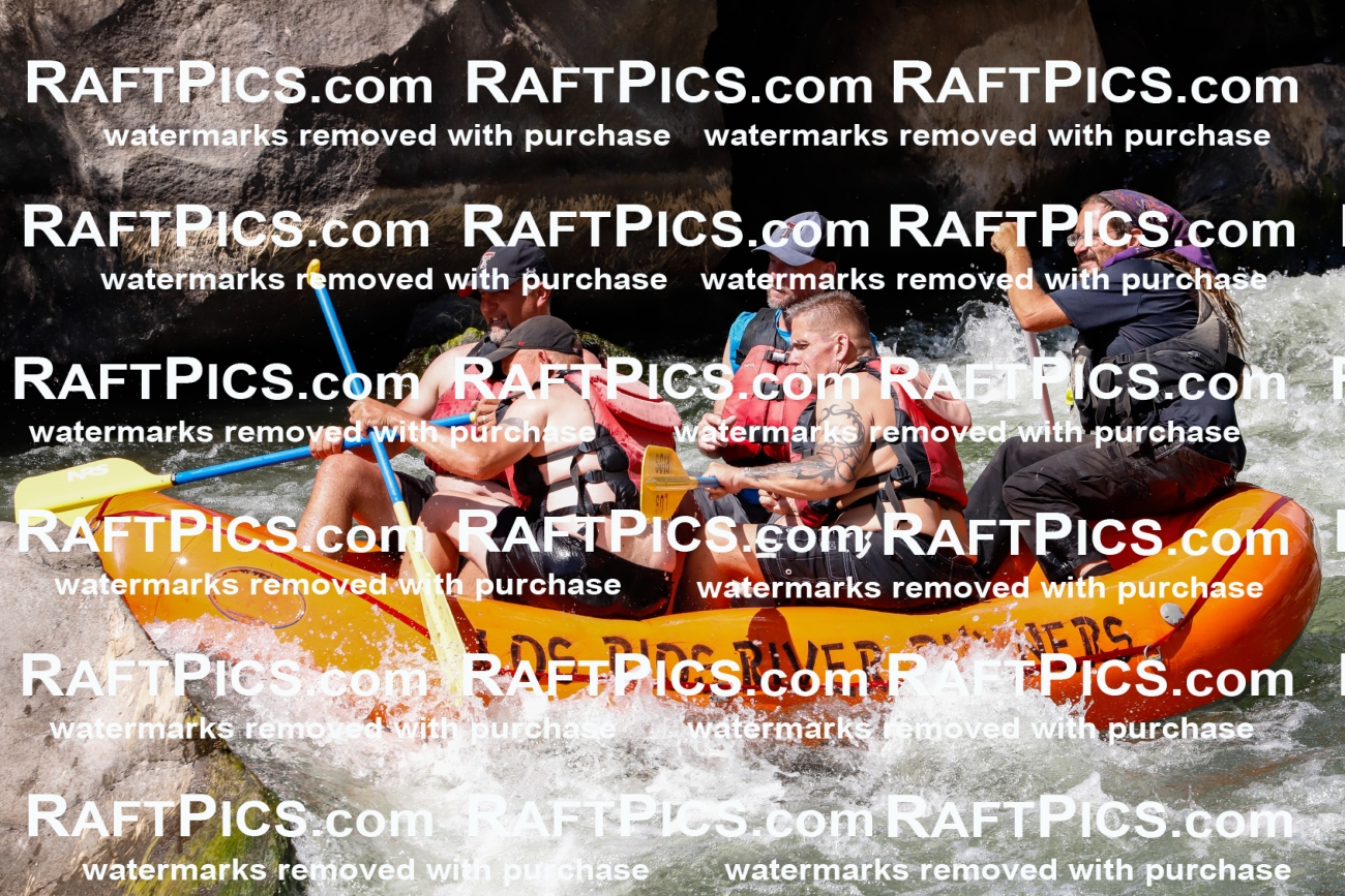 025478_RaftPics_August_04_LosRios_Racecourse_PM_Shay_TC_