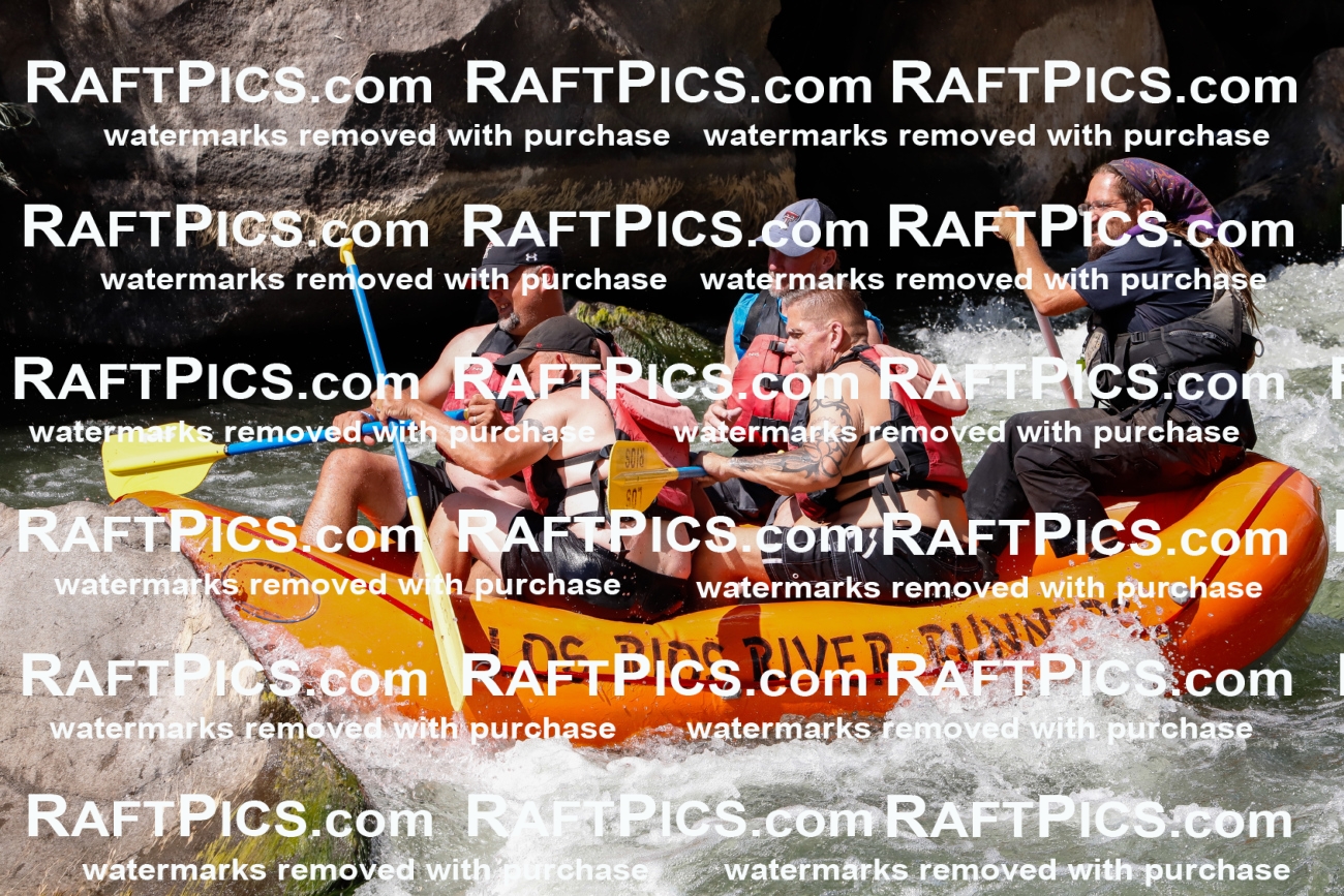 025479_RaftPics_August_04_LosRios_Racecourse_PM_Shay_TC_