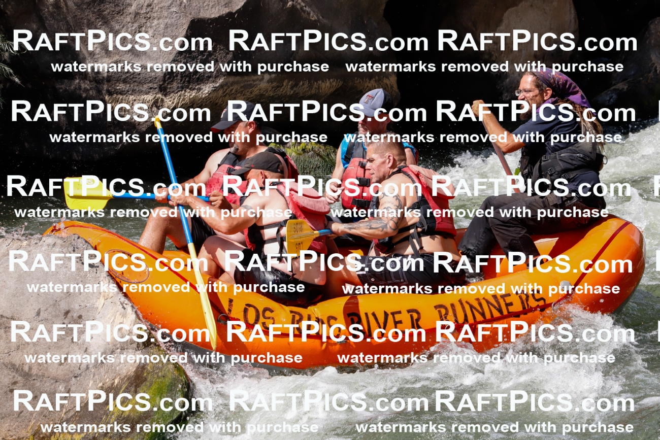 025480_RaftPics_August_04_LosRios_Racecourse_PM_Shay_TC_