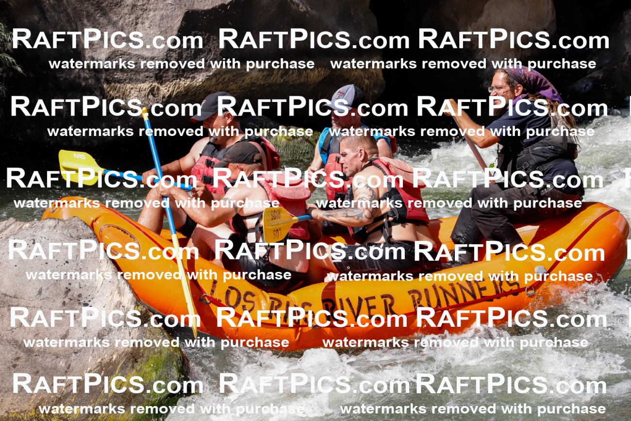 025481_RaftPics_August_04_LosRios_Racecourse_PM_Shay_TC_