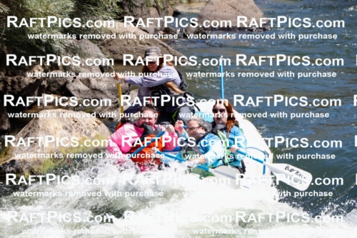 025256_RaftPics_August_04_BigRiver_Racecourse_AM_Mads_TC_