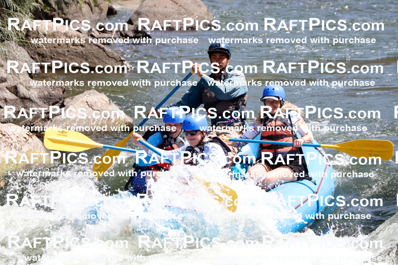 025902_RaftPics_August_06_NewWave_Racecourse_AM_Rui_TC_