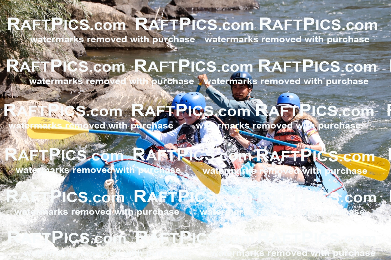 025904_RaftPics_August_06_NewWave_Racecourse_AM_Rui_TC_