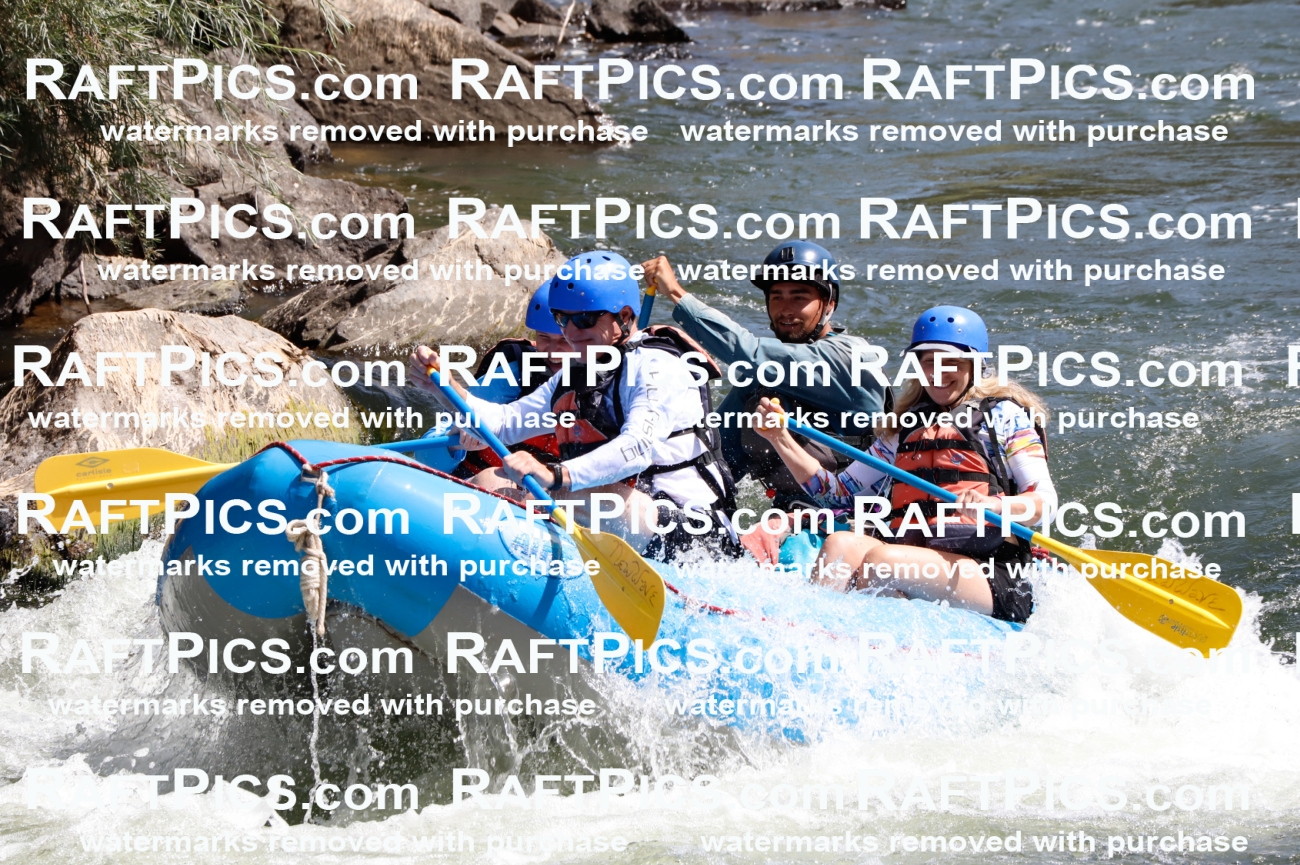 025905_RaftPics_August_06_NewWave_Racecourse_AM_Rui_TC_