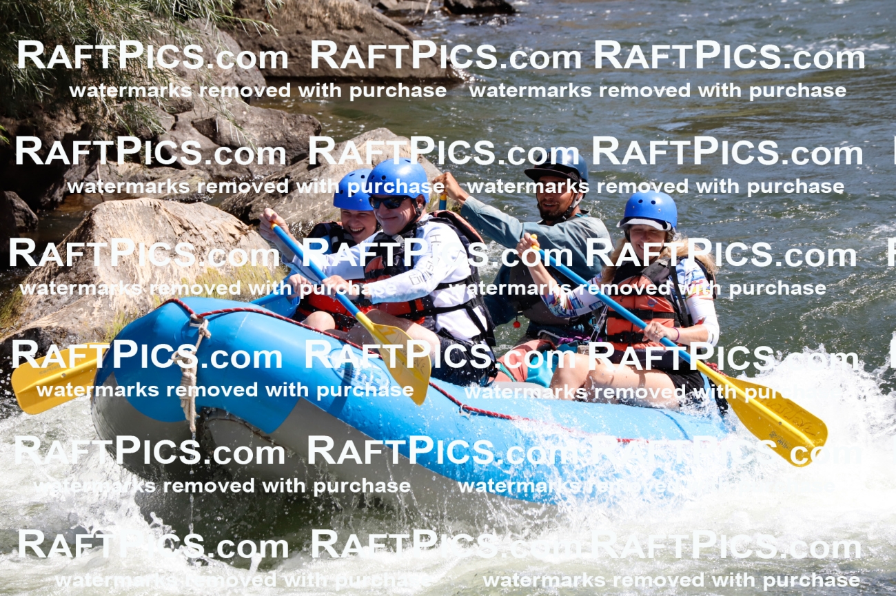 025906_RaftPics_August_06_NewWave_Racecourse_AM_Rui_TC_