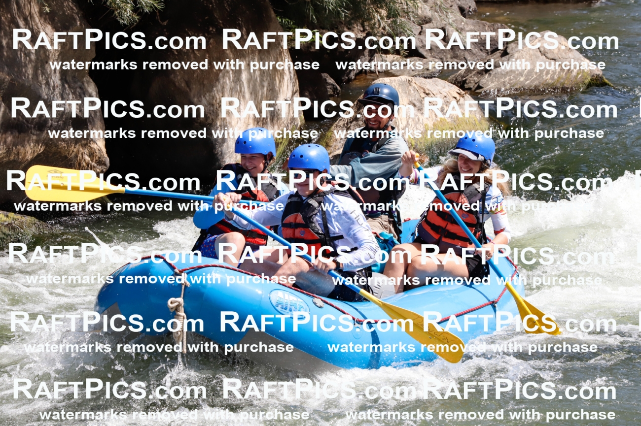 025913_RaftPics_August_06_NewWave_Racecourse_AM_Rui_TC_