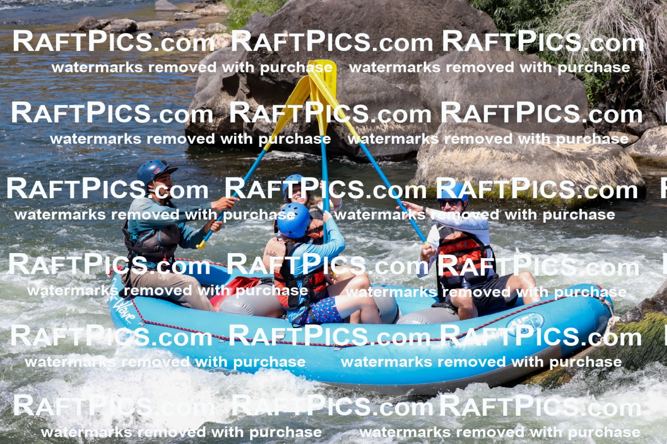 025931_RaftPics_August_06_NewWave_Racecourse_AM_Rui_TC_