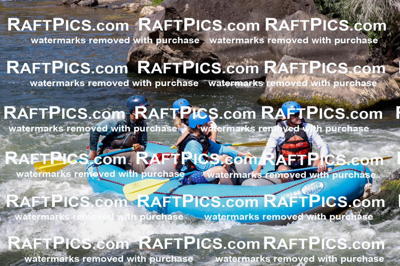 025932_RaftPics_August_06_NewWave_Racecourse_AM_Rui_TC_