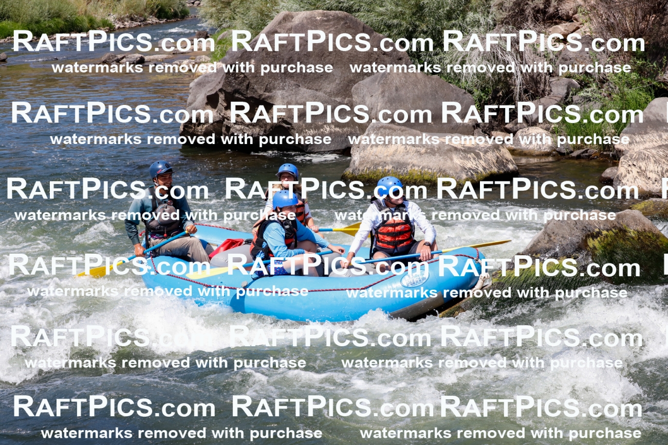 025933_RaftPics_August_06_NewWave_Racecourse_AM_Rui_TC_