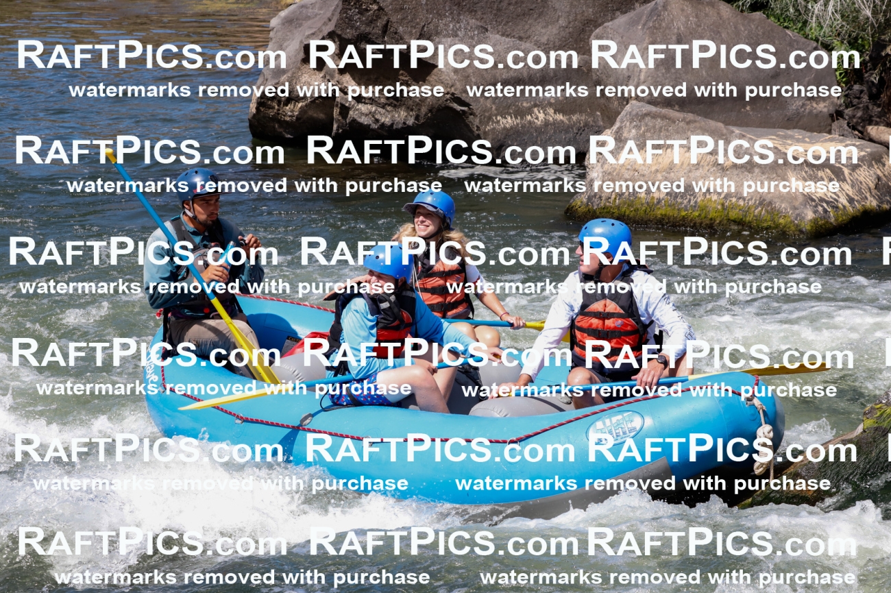 025934_RaftPics_August_06_NewWave_Racecourse_AM_Rui_TC_