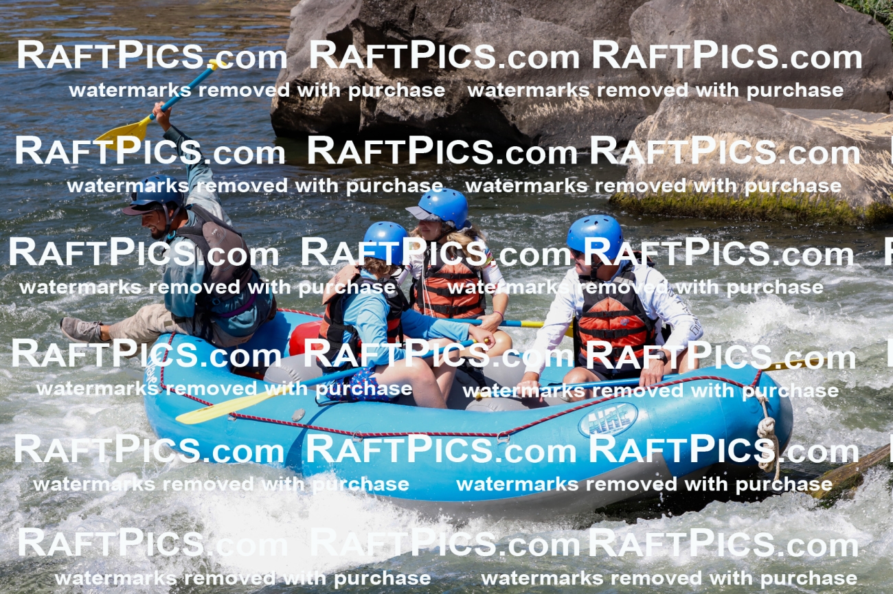 025935_RaftPics_August_06_NewWave_Racecourse_AM_Rui_TC_