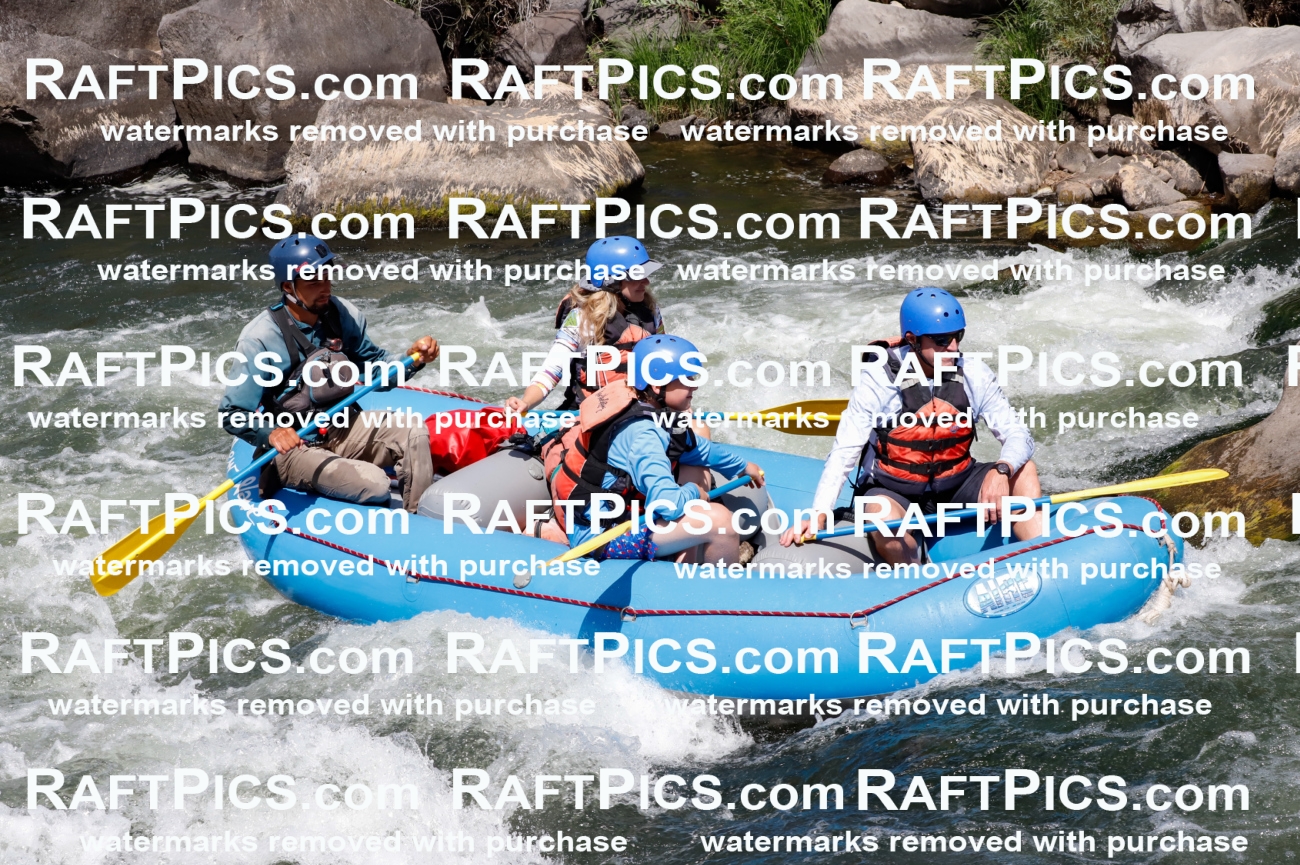 025936_RaftPics_August_06_NewWave_Racecourse_AM_Rui_TC_