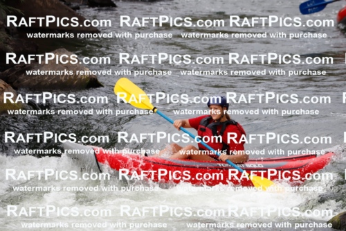 025976_RaftPics_August_06_LosRios_Racecourse_PM_Funyaks_TC_