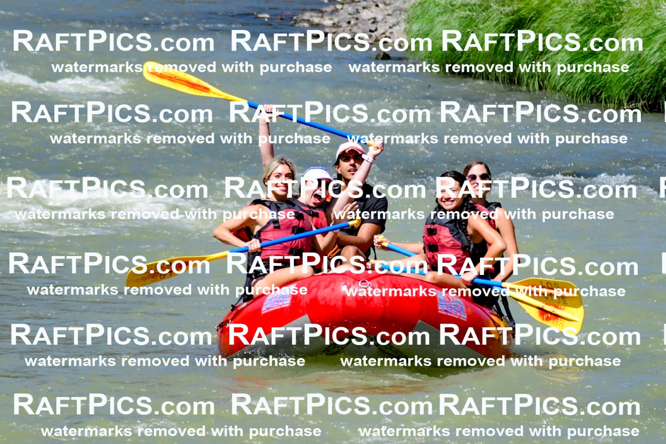 009035_Raftpics_August-10__LOS_RIOS__Racecourse_PM_KA_Michael_KLA8121