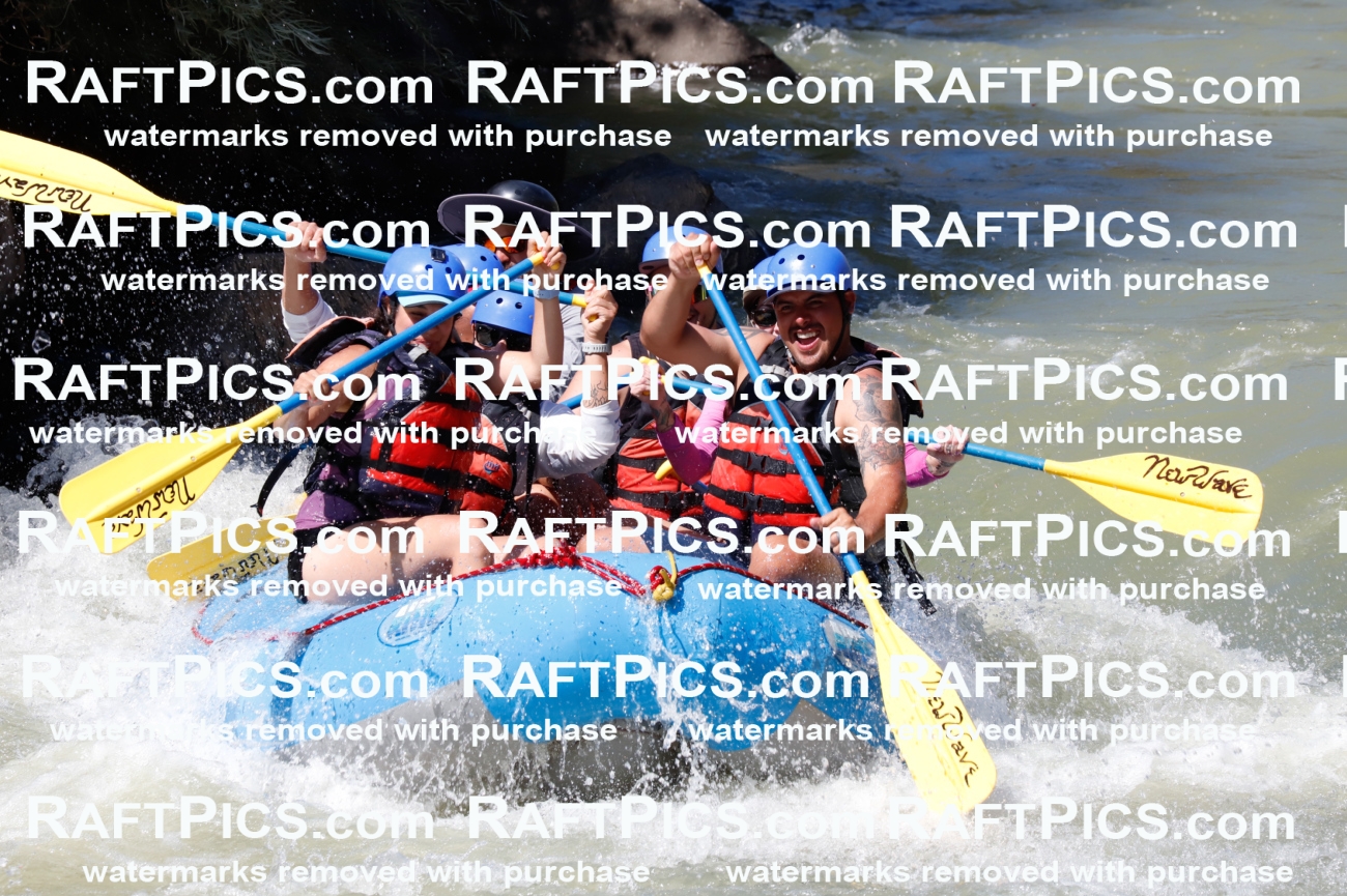 027008_RaftPics_August_10_NewWave_Racecourse_PM_Elias_TC_