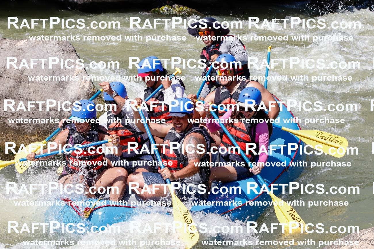 027019_RaftPics_August_10_NewWave_Racecourse_PM_Elias_TC_