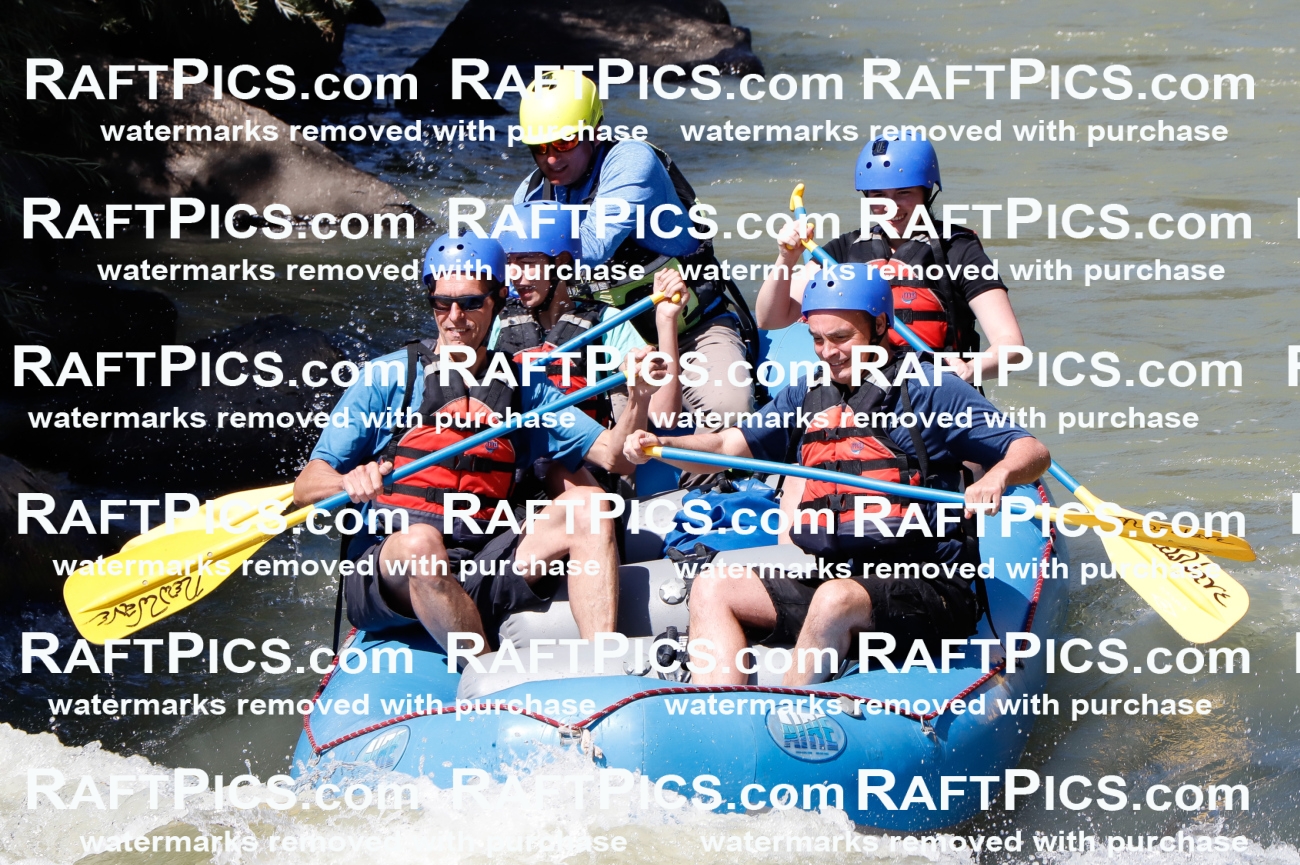 027030_RaftPics_August_10_NewWave_Racecourse_PM_Joey_TC_