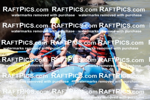 027034_RaftPics_August_10_NewWave_Racecourse_PM_Joey_TC_