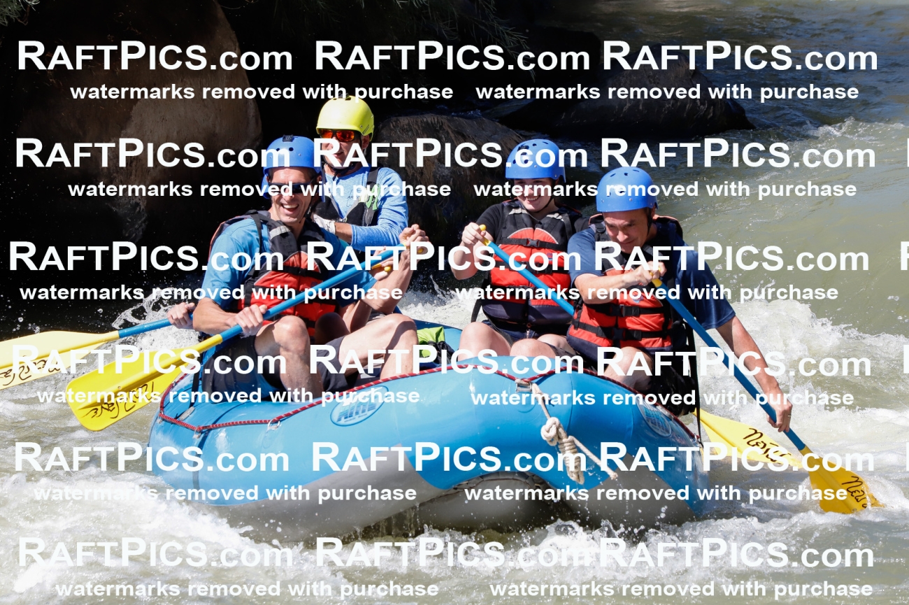 027035_RaftPics_August_10_NewWave_Racecourse_PM_Joey_TC_