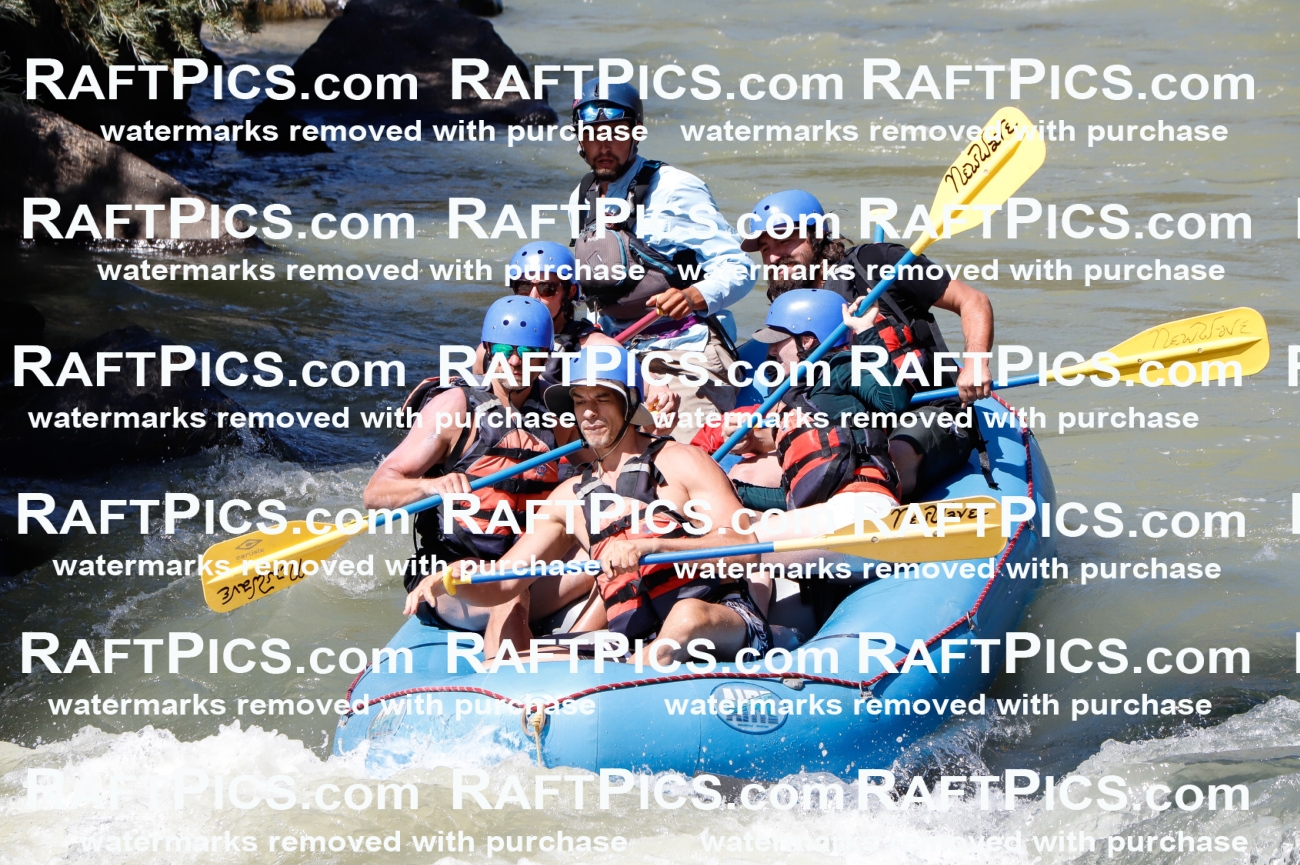 027068_RaftPics_August_10_NewWave_Racecourse_PM_Rui_TC_