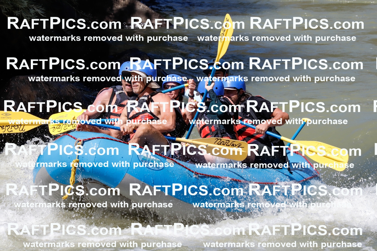 027071_RaftPics_August_10_NewWave_Racecourse_PM_Rui_TC_