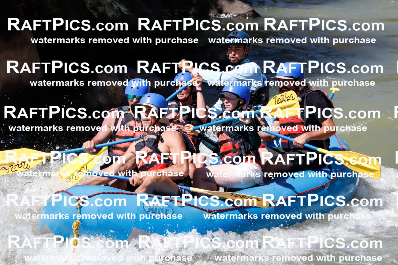 027072_RaftPics_August_10_NewWave_Racecourse_PM_Rui_TC_