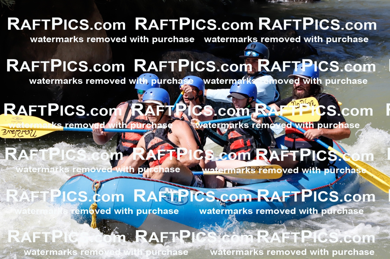 027073_RaftPics_August_10_NewWave_Racecourse_PM_Rui_TC_