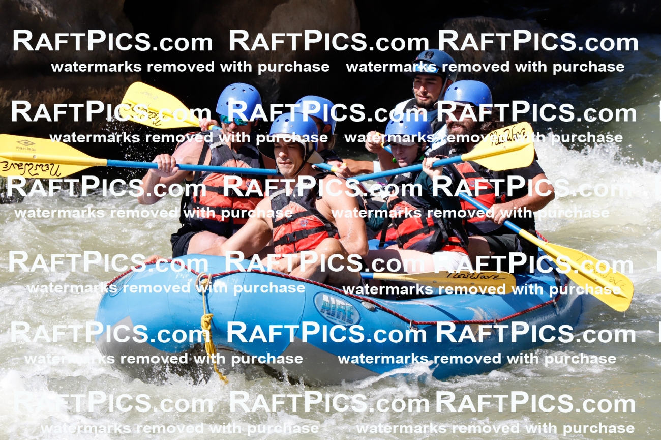 027075_RaftPics_August_10_NewWave_Racecourse_PM_Rui_TC_