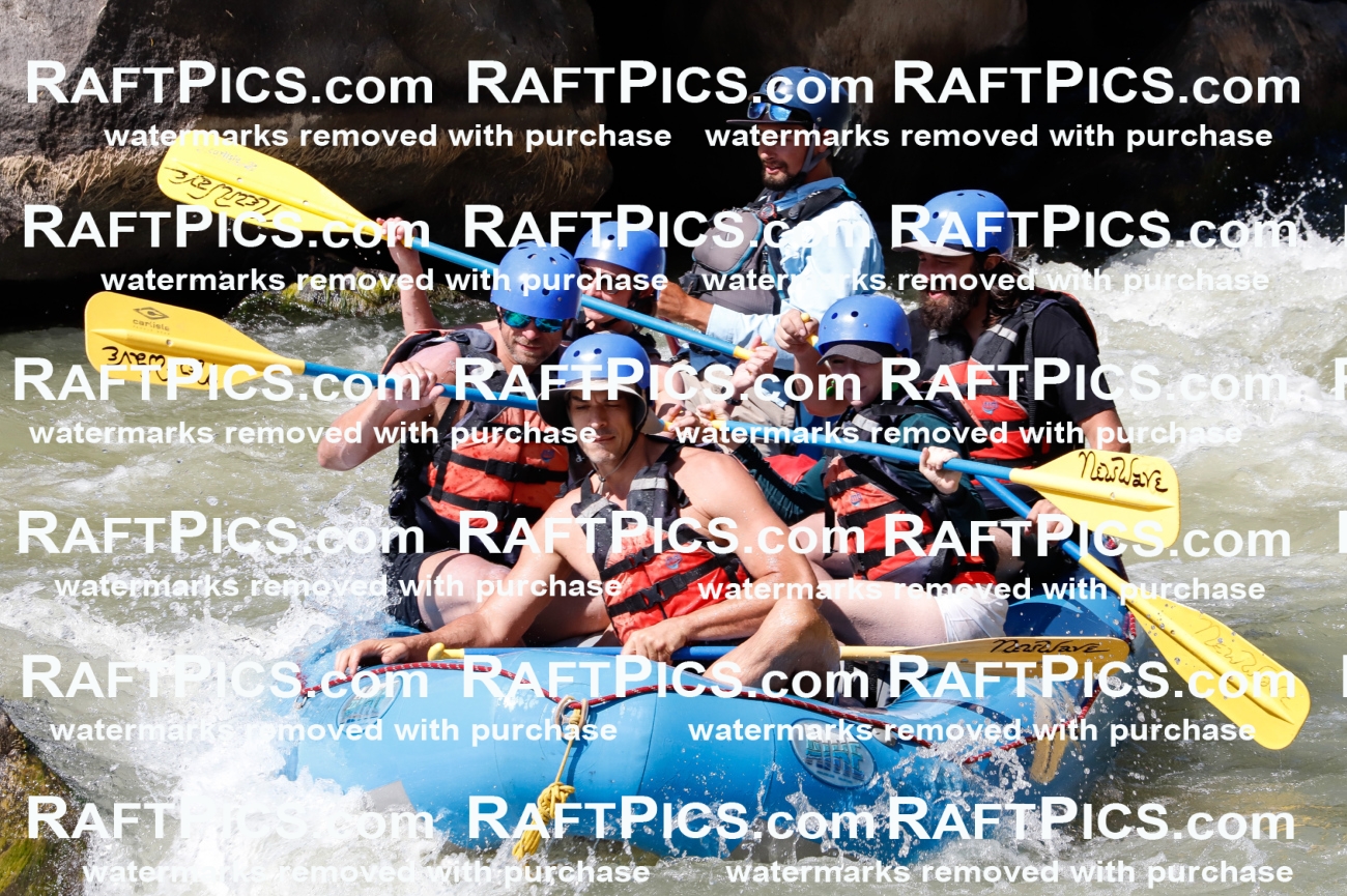 027077_RaftPics_August_10_NewWave_Racecourse_PM_Rui_TC_