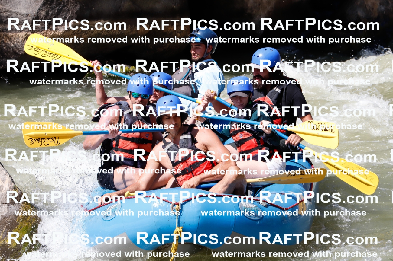 027078_RaftPics_August_10_NewWave_Racecourse_PM_Rui_TC_