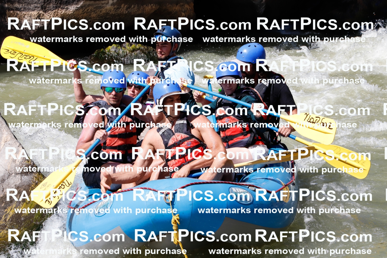 027079_RaftPics_August_10_NewWave_Racecourse_PM_Rui_TC_