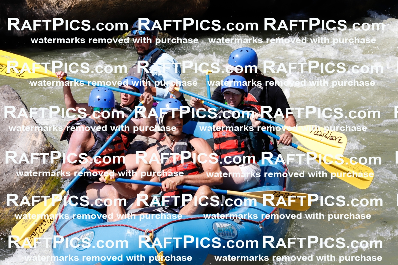 027080_RaftPics_August_10_NewWave_Racecourse_PM_Rui_TC_