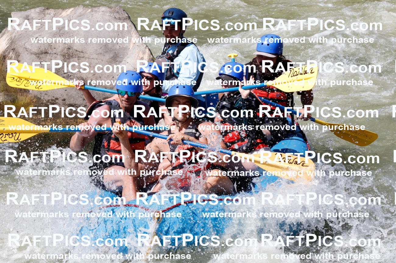 027082_RaftPics_August_10_NewWave_Racecourse_PM_Rui_TC_