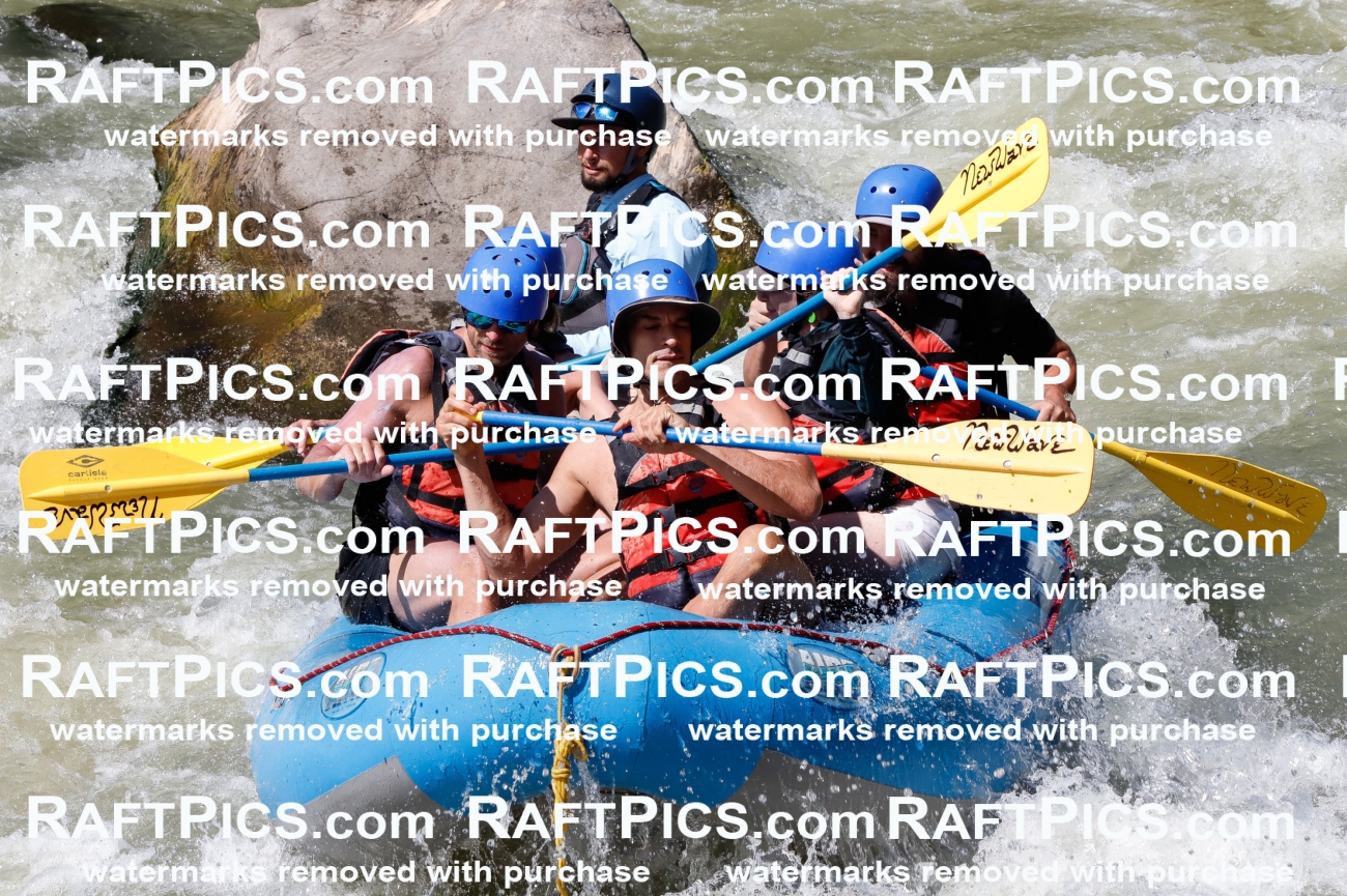 027083_RaftPics_August_10_NewWave_Racecourse_PM_Rui_TC_