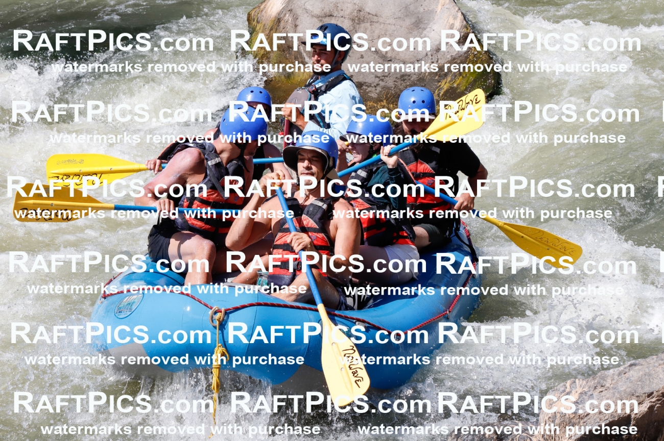 027085_RaftPics_August_10_NewWave_Racecourse_PM_Rui_TC_