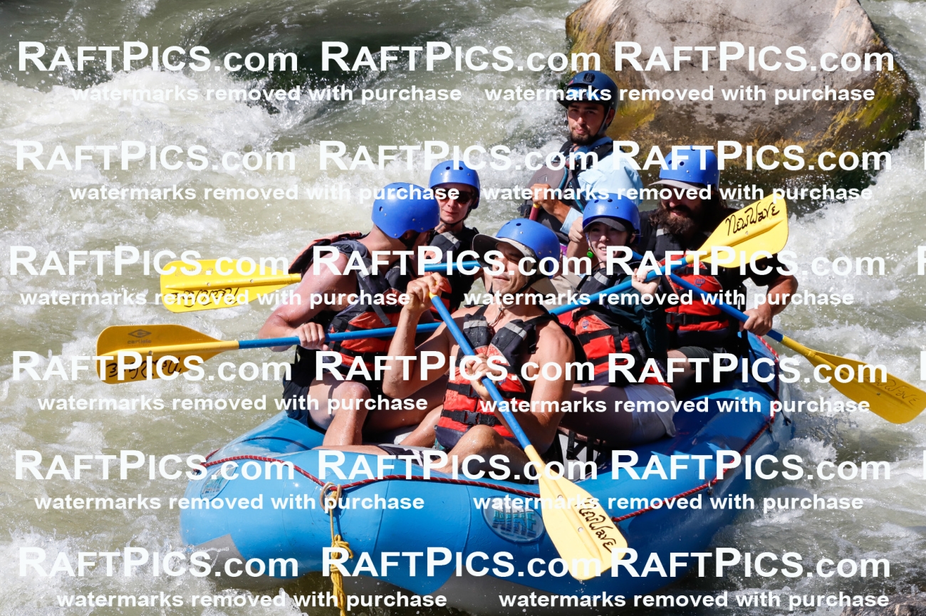 027086_RaftPics_August_10_NewWave_Racecourse_PM_Rui_TC_