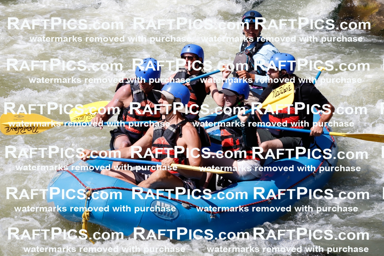 027088_RaftPics_August_10_NewWave_Racecourse_PM_Rui_TC_