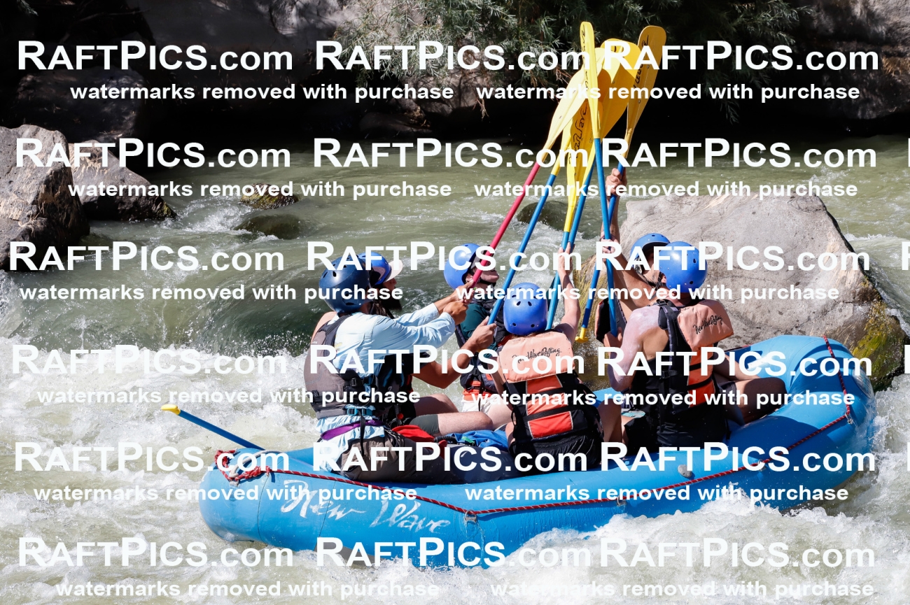 027091_RaftPics_August_10_NewWave_Racecourse_PM_Rui_TC_