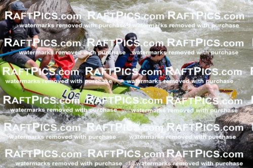 027141_RaftPics_August_11_LosRios_Racecourse_AM_Jackson_TC_