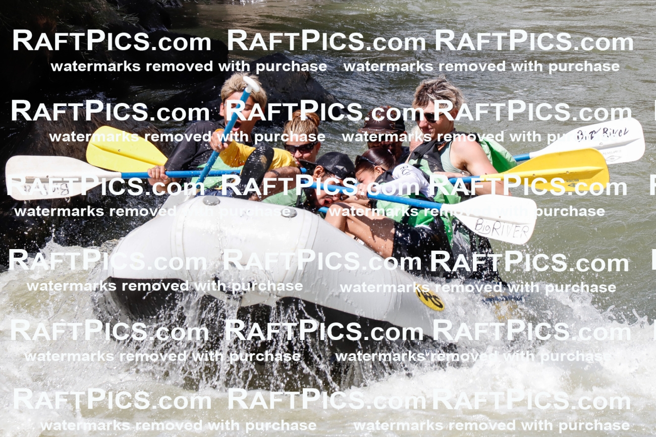 027265_RaftPics_August_11_BigRiver_Racecourse_PM_Migs_TC_