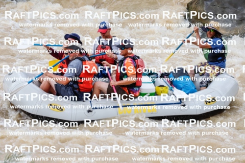 027728_RaftPics_August_13_BigRiver_Racecourse_AM_Paris_TC_