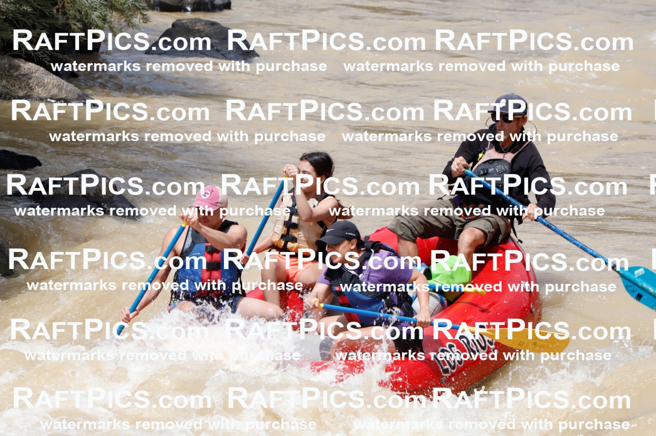 027742_RaftPics_August_13_LosRios_Racecourse_PM_Nate_TC_