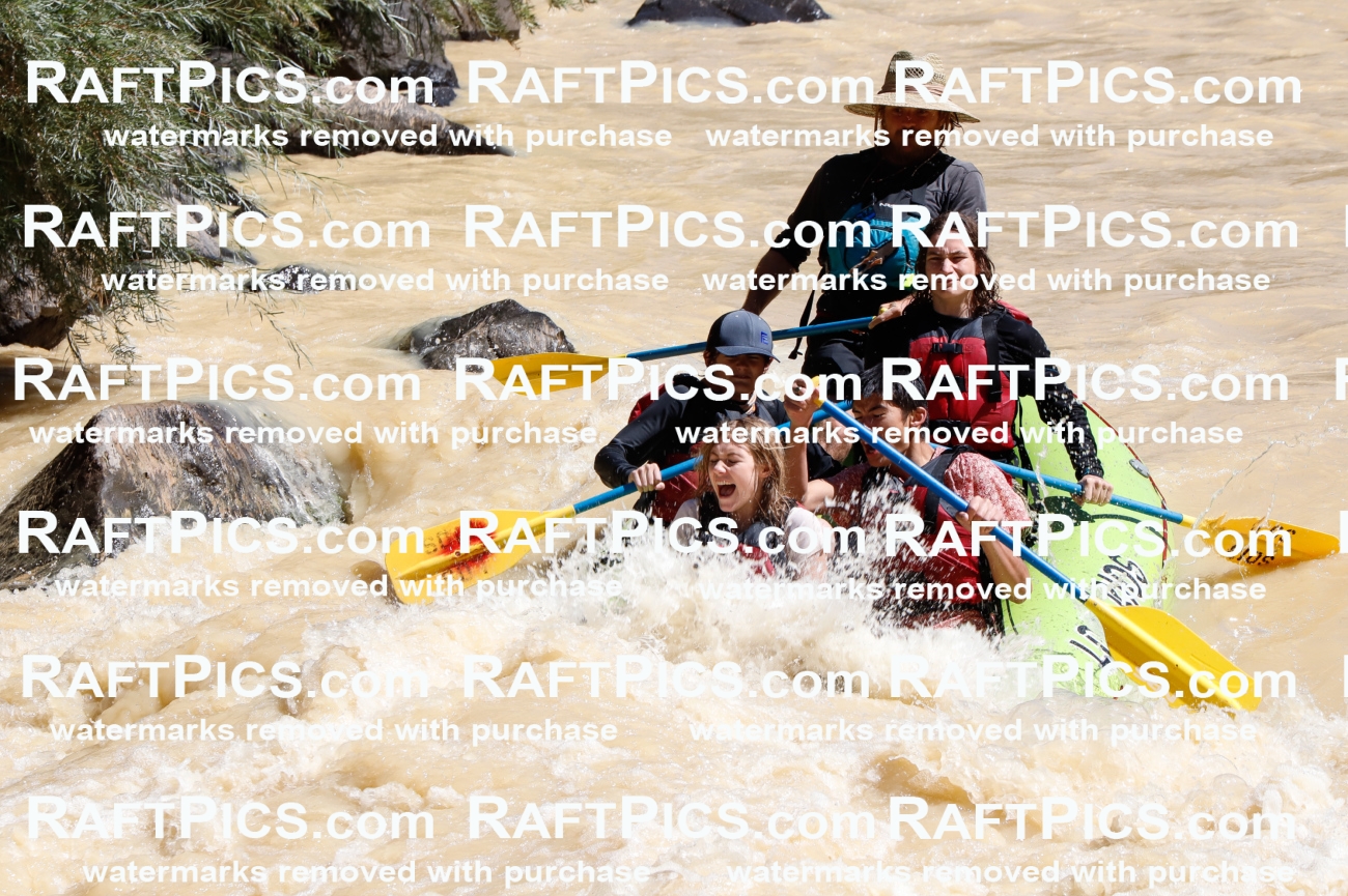 027825_RaftPics_August_14_LosRios_Racecourse_AM_Abe_TC_