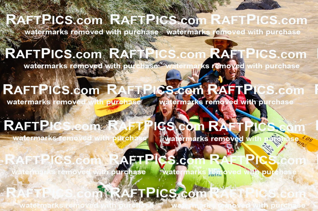 027832_RaftPics_August_14_LosRios_Racecourse_AM_Abe_TC_