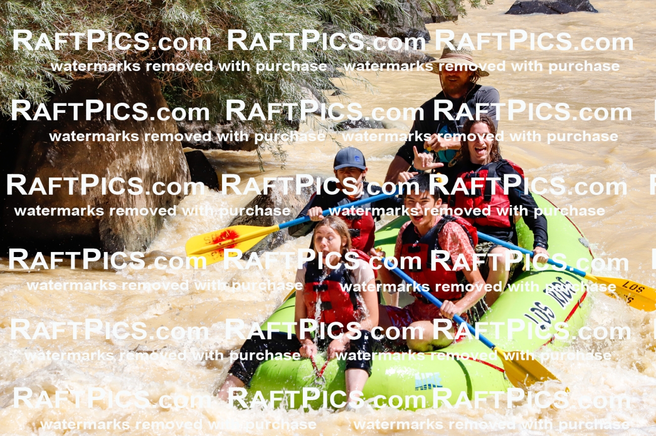 027833_RaftPics_August_14_LosRios_Racecourse_AM_Abe_TC_