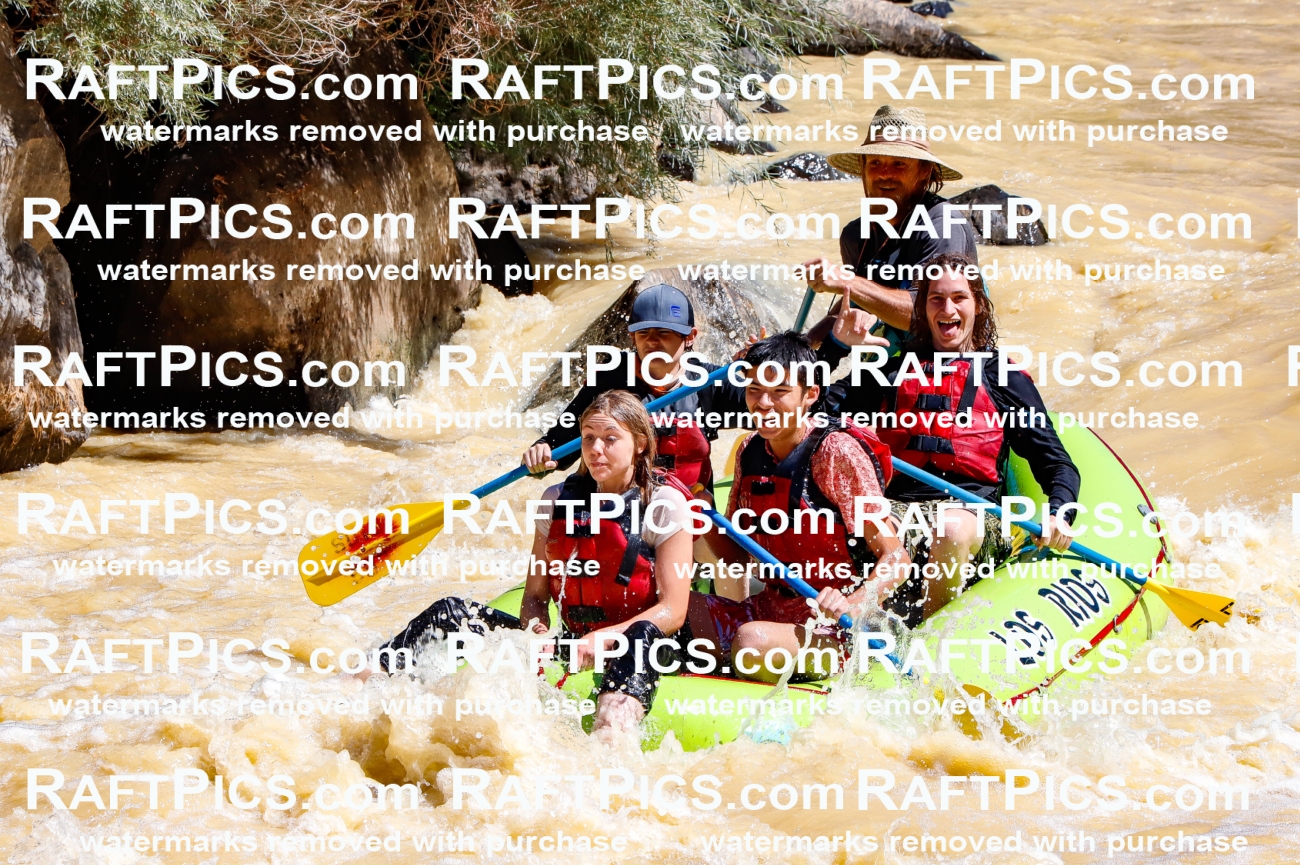 027835_RaftPics_August_14_LosRios_Racecourse_AM_Abe_TC_