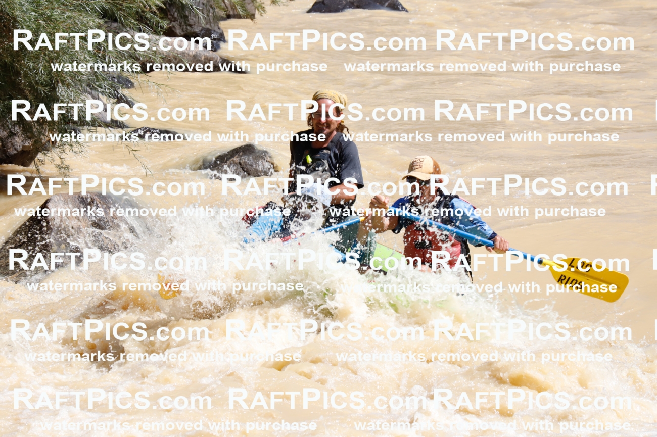 027882_RaftPics_August_14_LosRios_Racecourse_AM_Shay_TC_