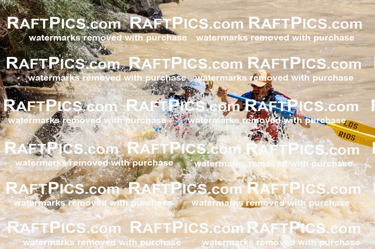 027883_RaftPics_August_14_LosRios_Racecourse_AM_Shay_TC_